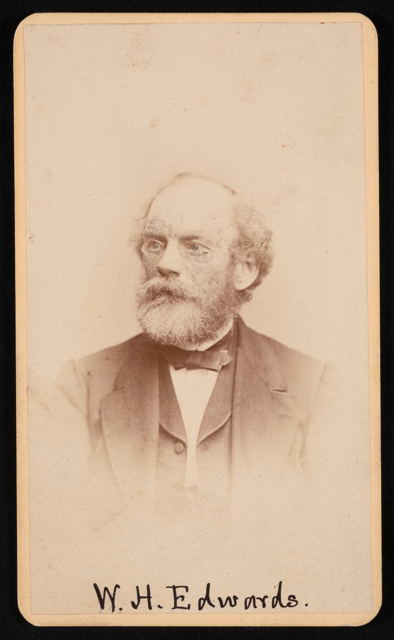 Portrét Williama Henryho Edwardse 1822-1909, cca 1870s 1880s. od J and W Vincent