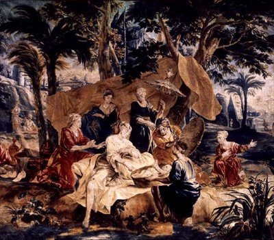 Nalezení Mojžíše, vyrobené v dílnách Franse a Pietera van de Borchtových (kolem 1763) (tapisérie) od J. van and Coppens A.A (after) Orley