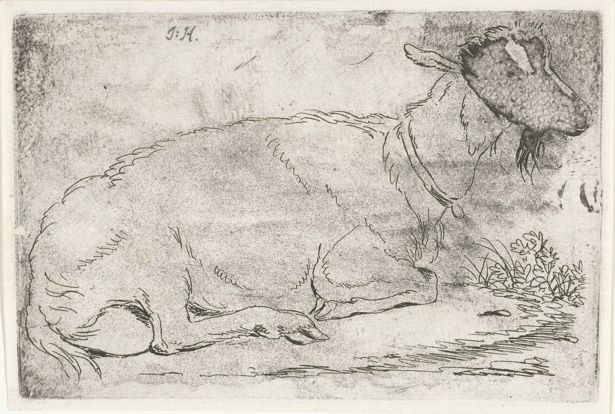 ležící koza od Jabes Heenck (signed by artist)