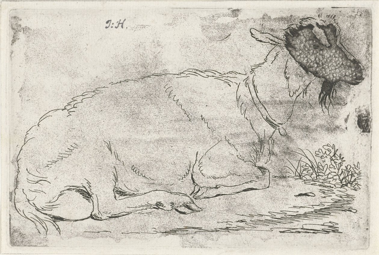ležící koza od Jabes Heenck (signed by artist)