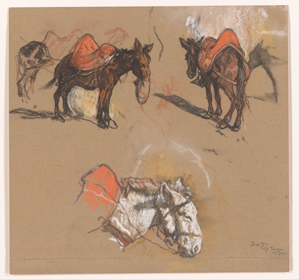 Studie oslů a muly na náměstí Grote Markt v Tangeru od Jac van Looij (signed by artist)