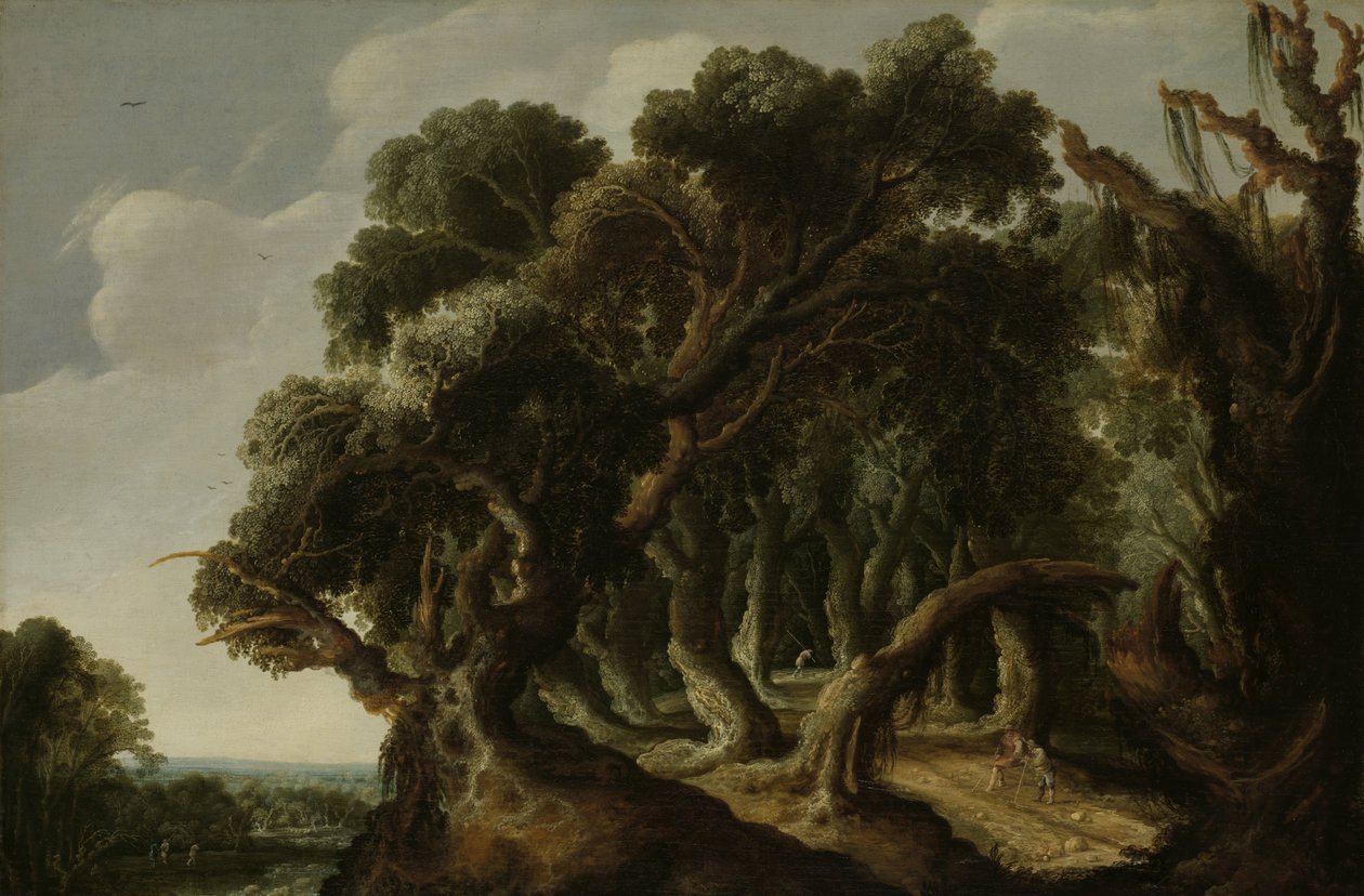 Zalesněná krajina, kolem roku 1633 od Jacob van Geel