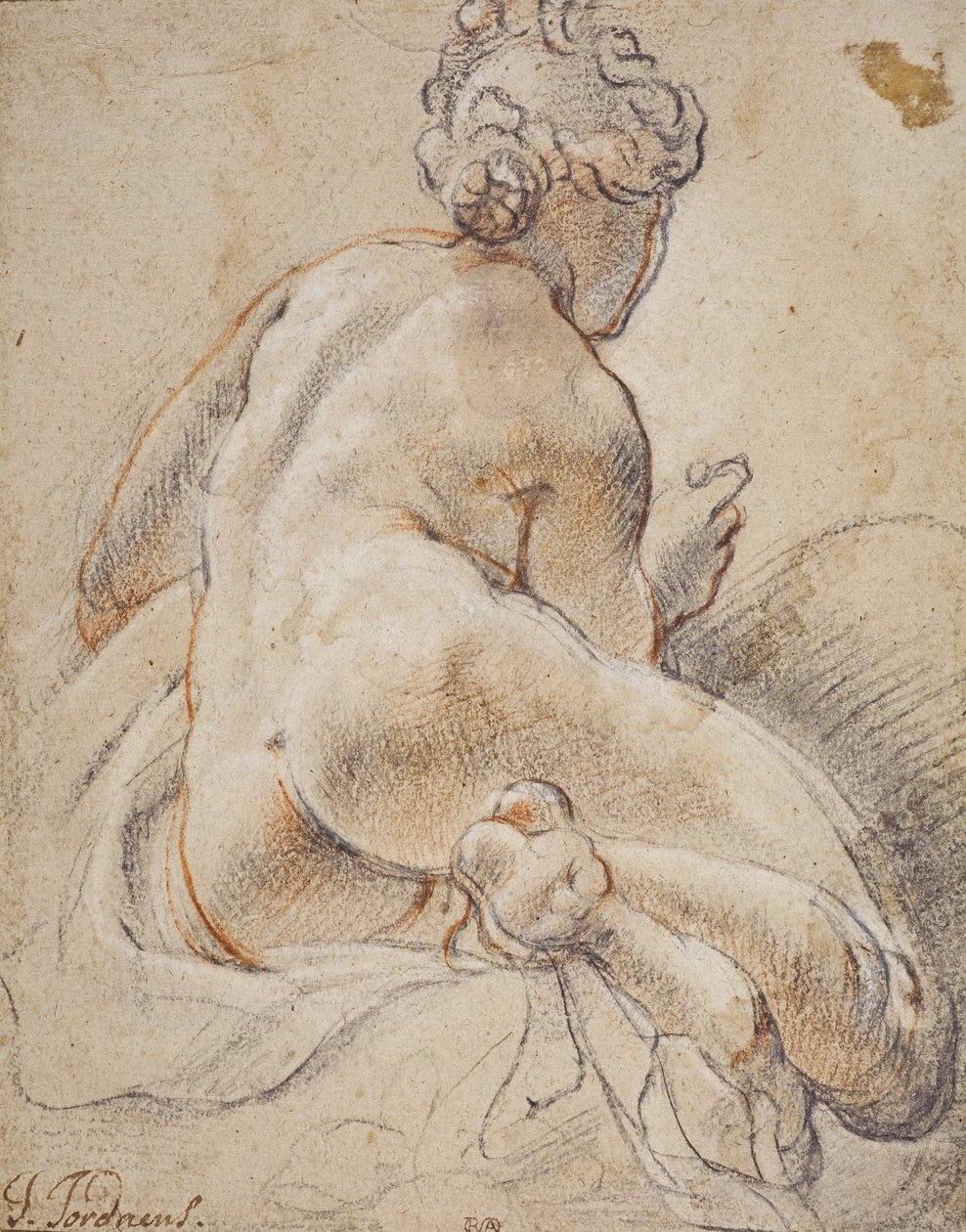 Ženská akt, při pohledu zezadu od Jacob Jordaens