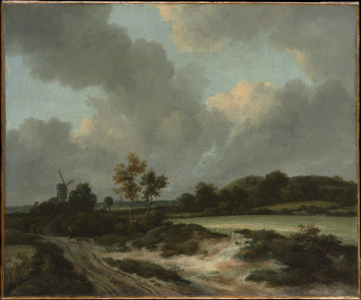Obilná pole od Jacob van Ruisdael