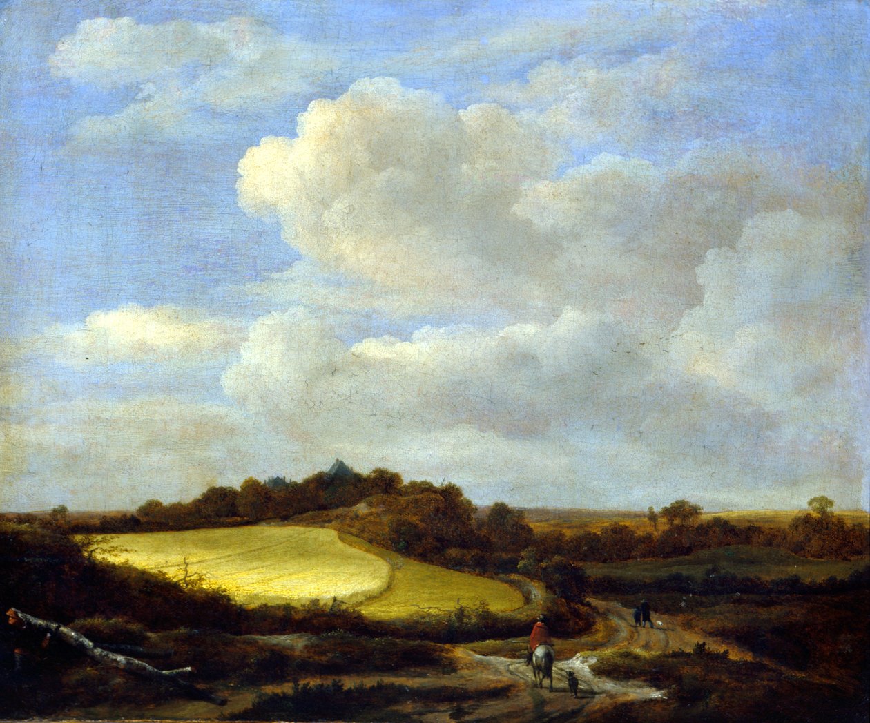 Wheatfield od Jacob van Ruisdael