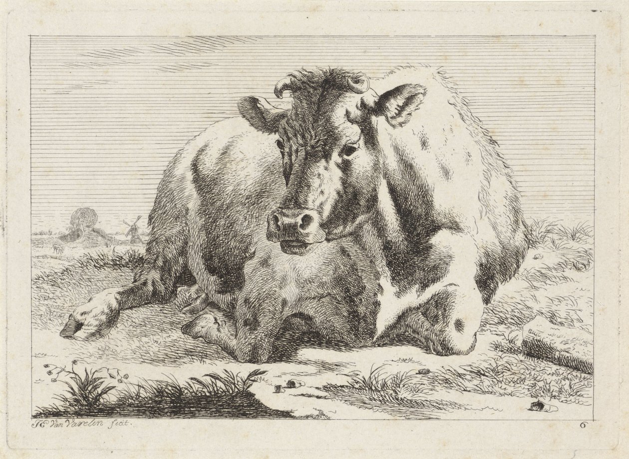 ležící kráva Šest tisků po kresbách různých mistrů (název série) od Jacob Elias van Varelen