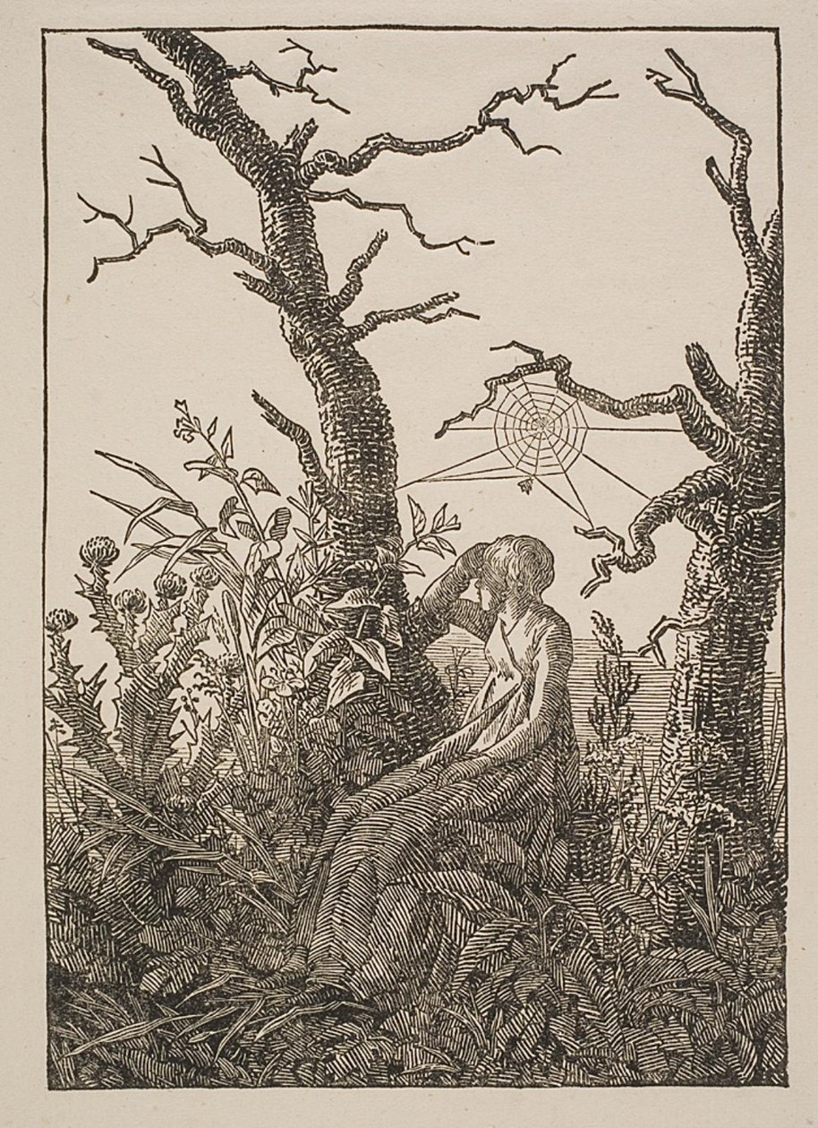 Melancholie. Žena s pavoučí sítí od Jacob Friedrich