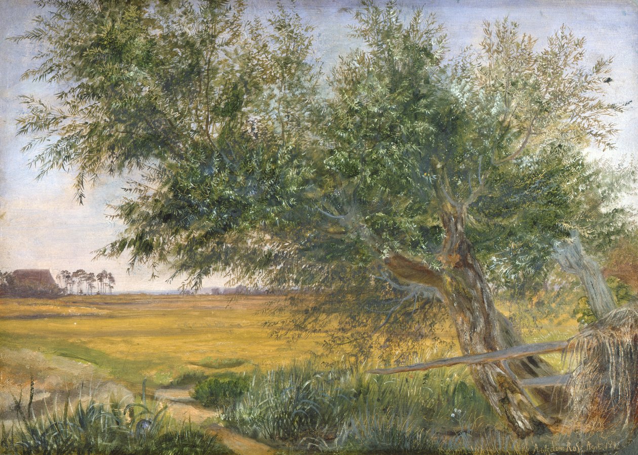 The Old Tree, 1842 (olej na papíře připevněný na kartě) od Jacob Gensler