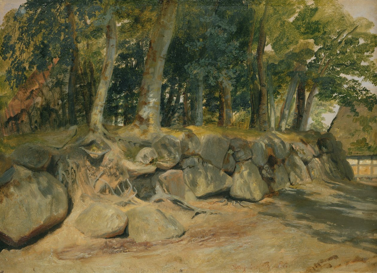 Kamenná zeď v Sottorf, 1839 (olej na papíře na kartičce) od Jacob Gensler