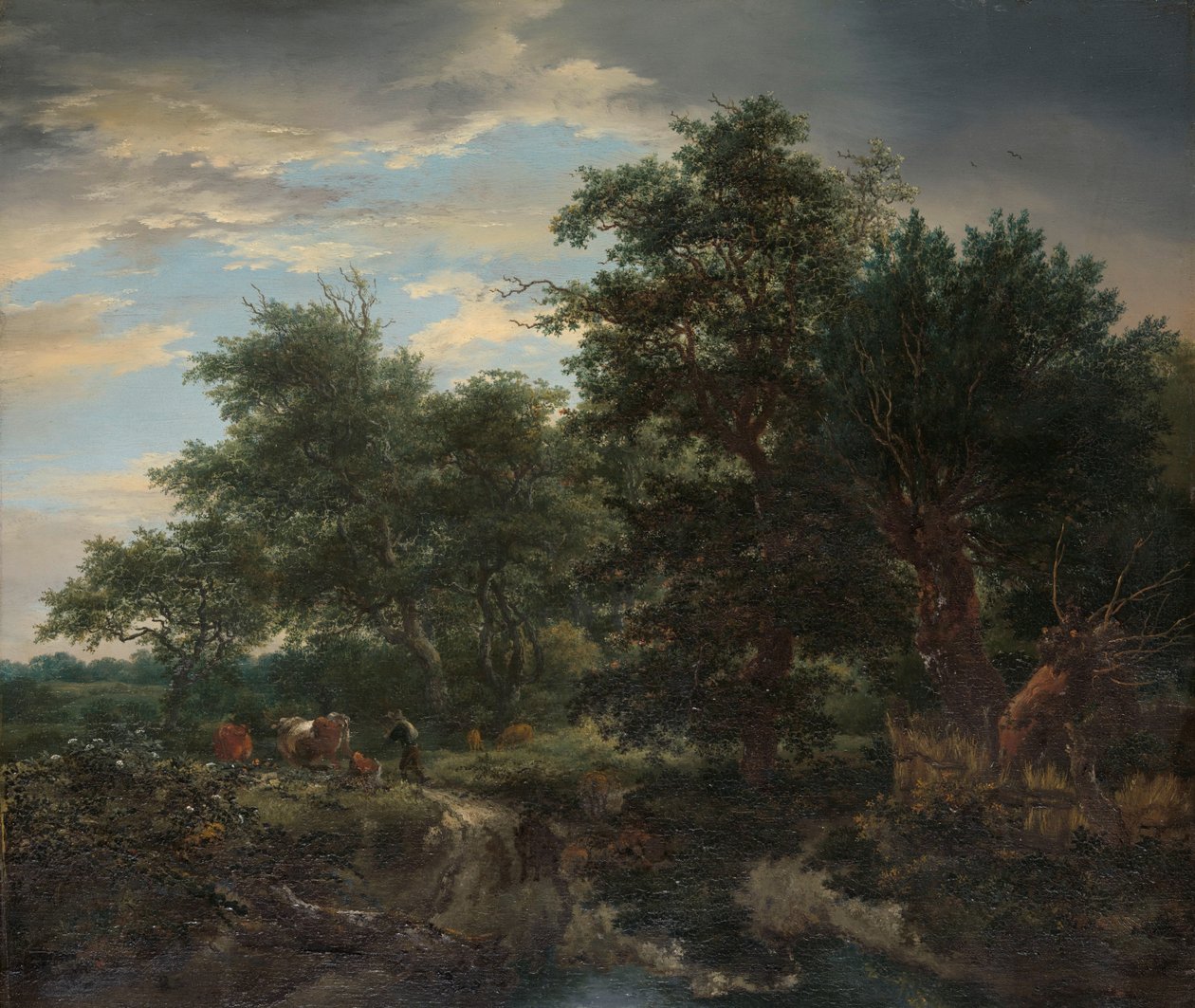 Lesní scéna od Jacob van Ruisdael