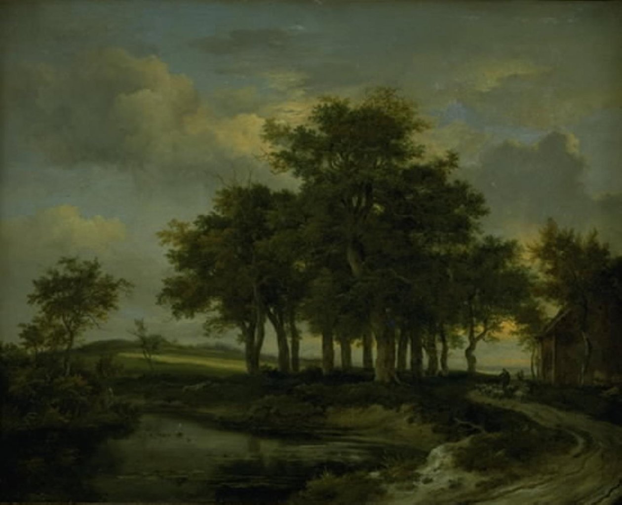 Duby u silnice, večer od Jacob van Ruisdael