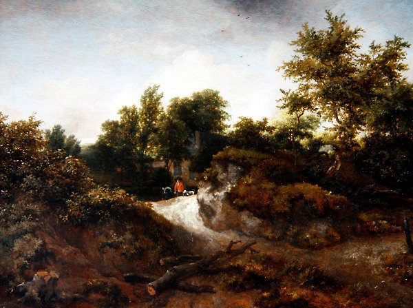 Krajina zalesněných dun (olej na desce) od Jacob van Ruisdael