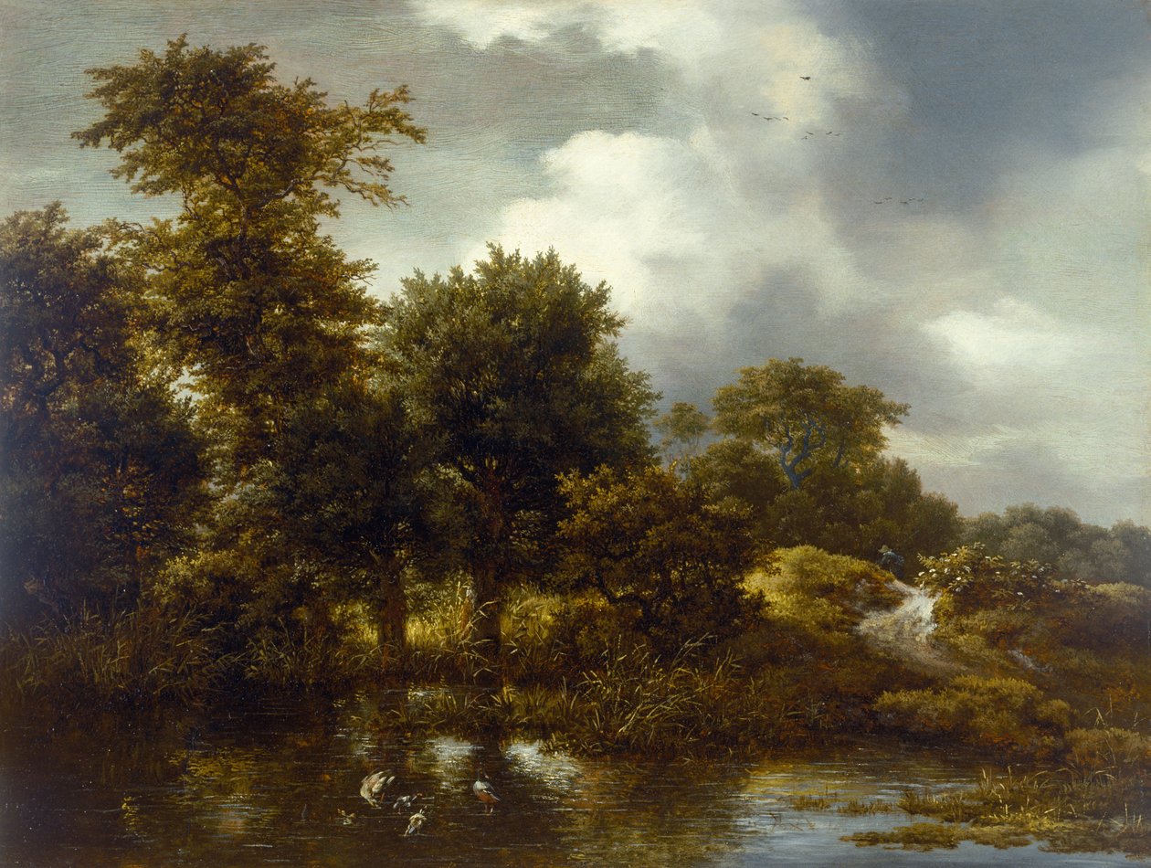 Zalesněná krajina s rybníkem, konec 40. let 17. století od Jacob van Ruisdael