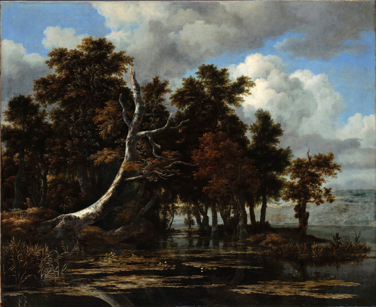 ""Duby u jezera s lekníny" Malba Jacoba Isaacksze van Ruisdaela (1628/29-1682) Olej na plátně Rozměr 116,6x142 cm Staatliche Museen, Berlín od Jacob van Ruisdael