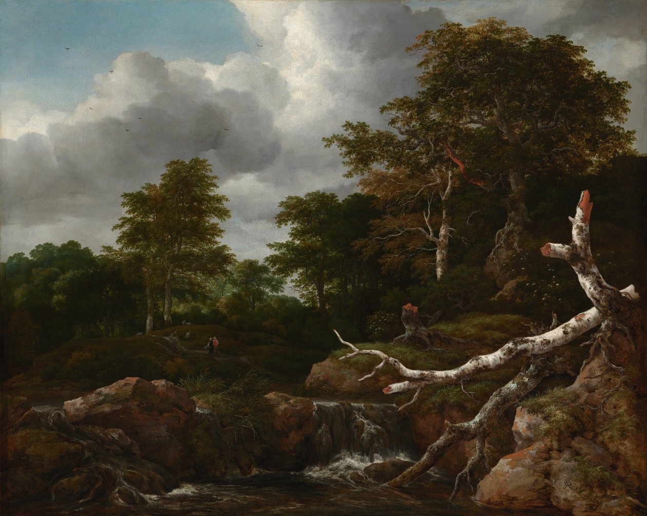 Forest Scene, c.1655 (olej na plátně) od Jacob van Ruisdael