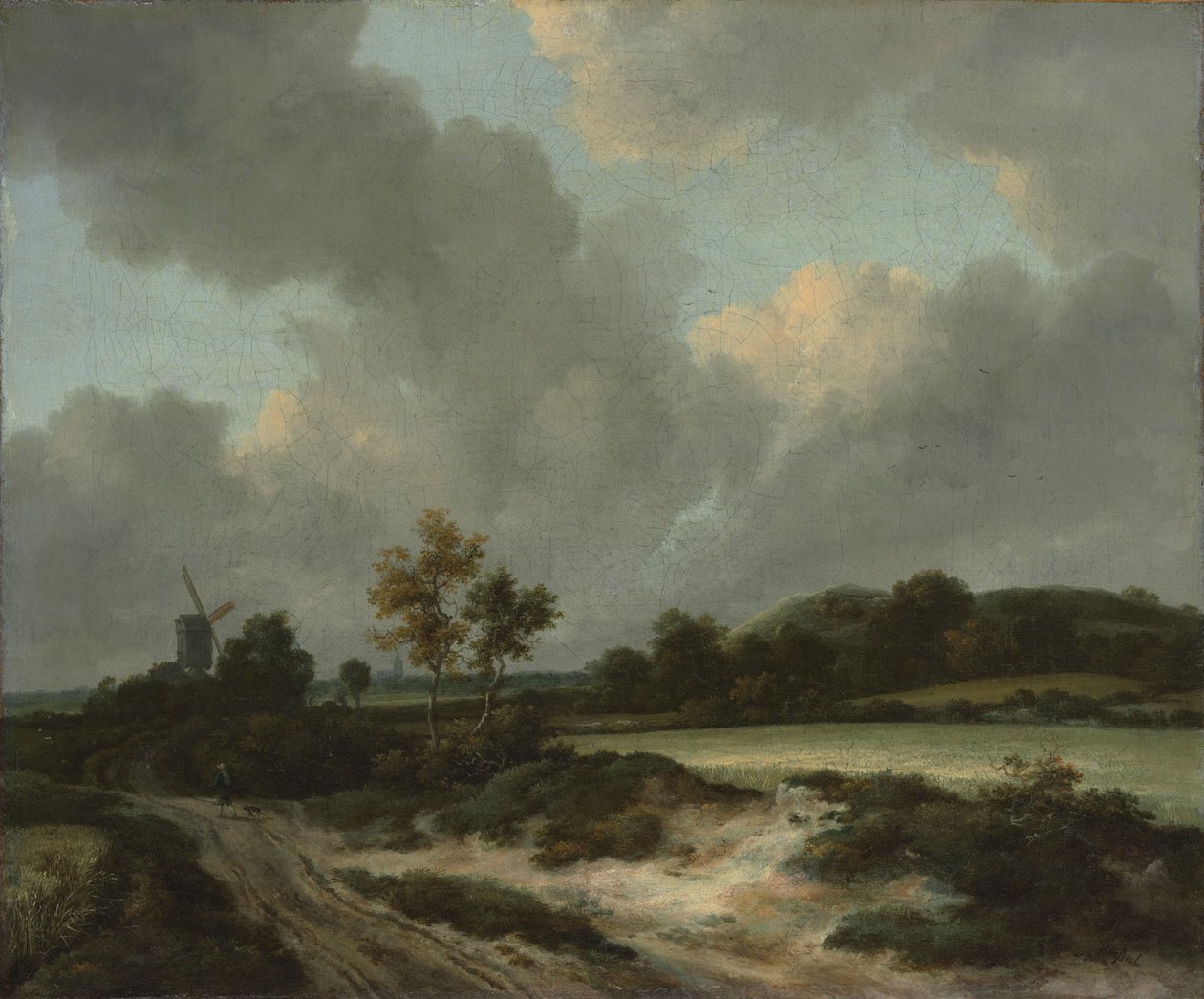 Grainfields, cca 1660 (olej na plátně) od Jacob van Ruisdael