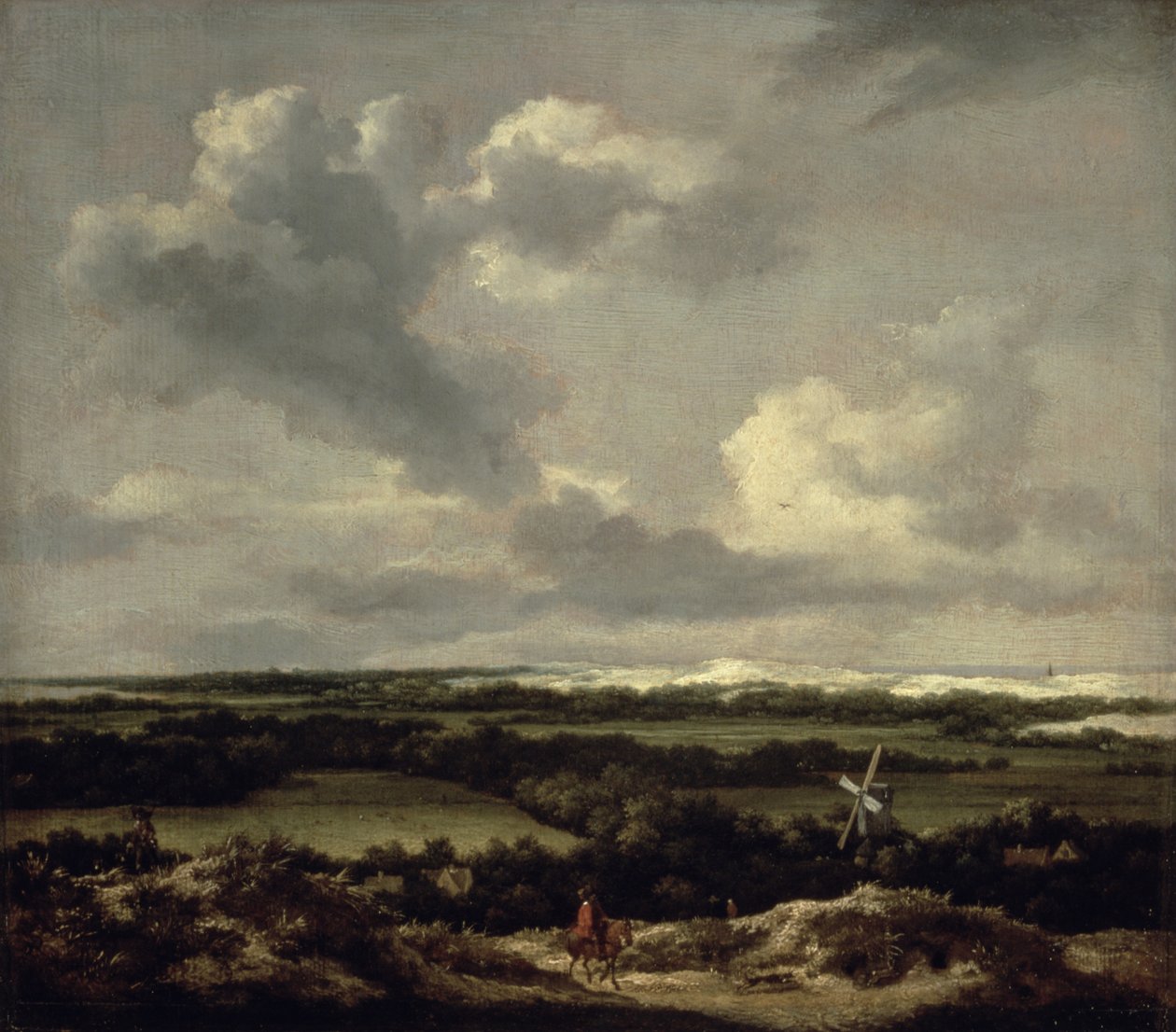 Krajina s dunami poblíž Haarlemu (olej na plátně) od Jacob van Ruisdael