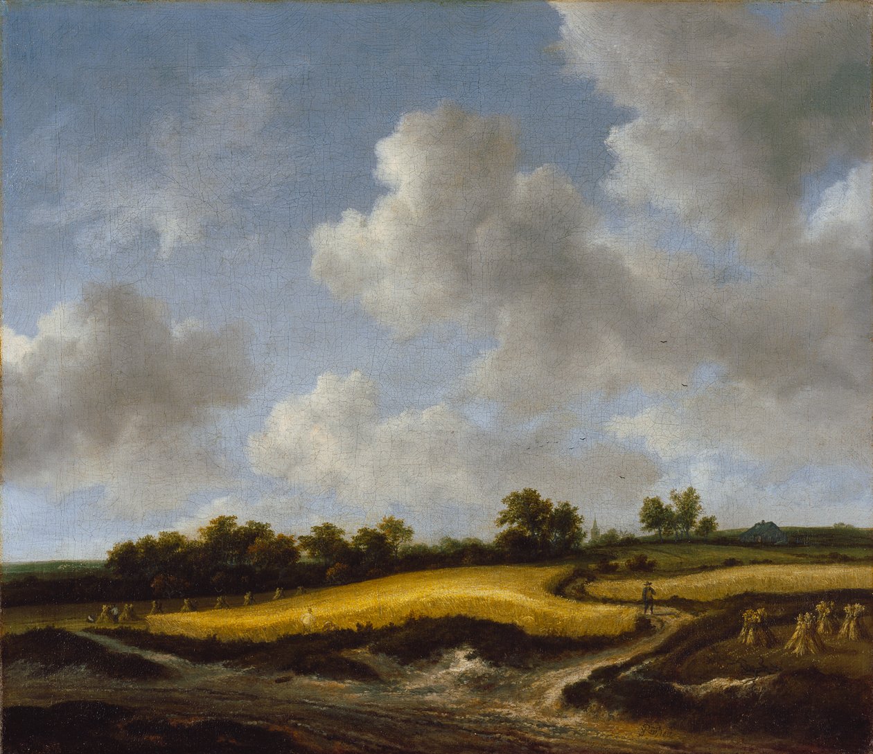 Krajina s pšeničným polem, kolem roku 1660 od Jacob van Ruisdael