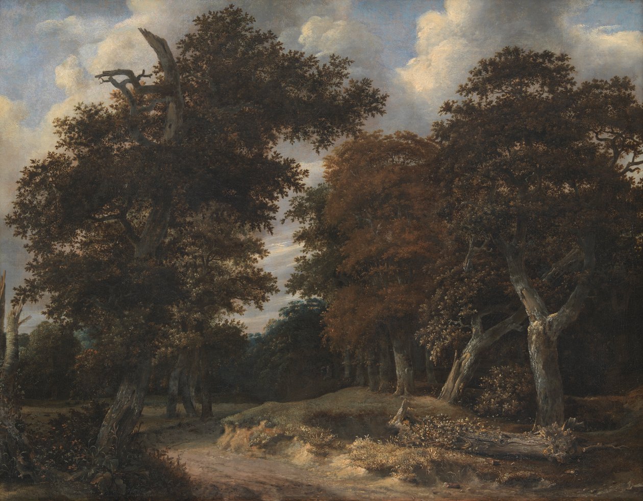 Cesta přes dubový les od Jacob van Ruisdael
