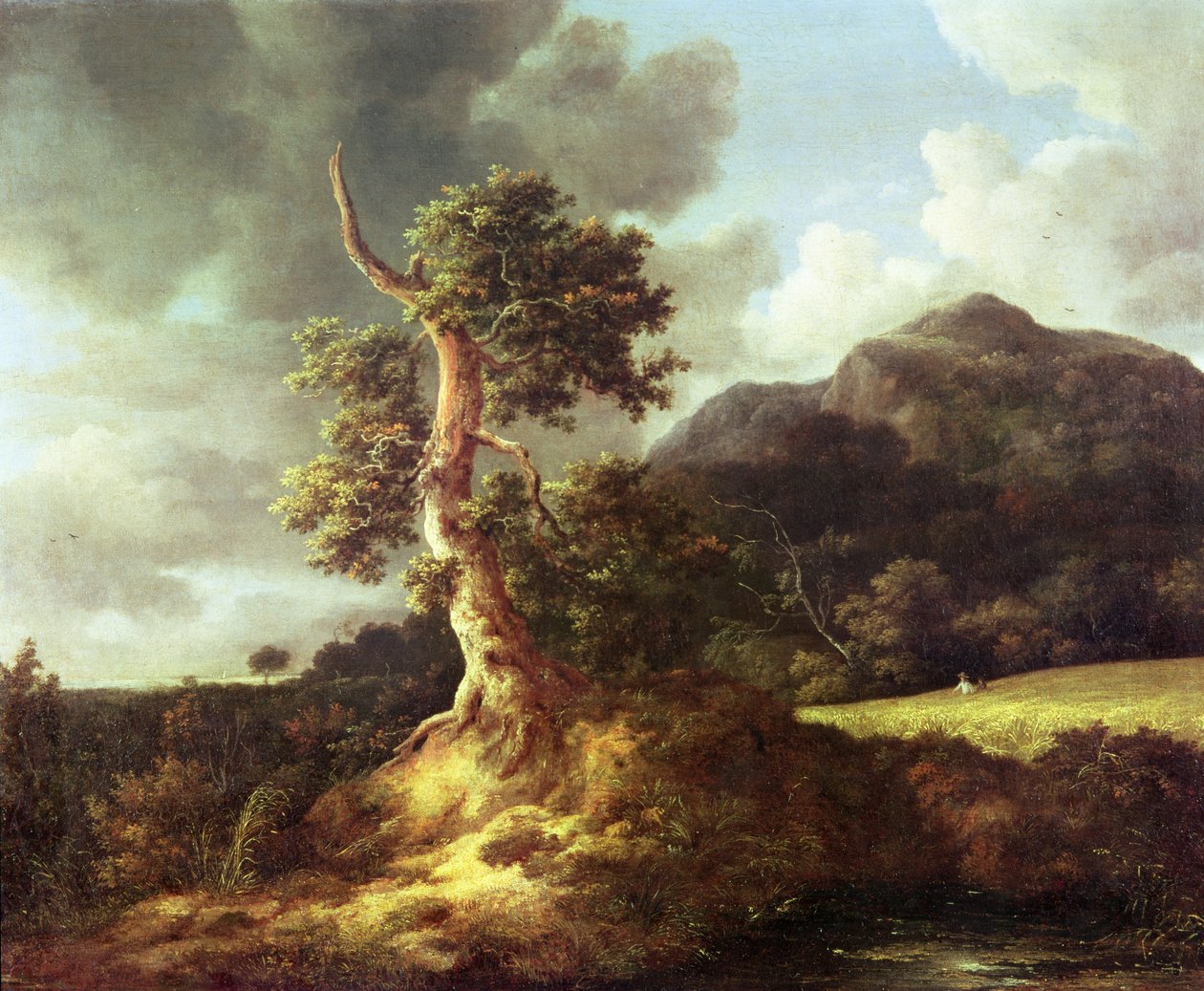 Neznámý obrázek od Jacob van Ruisdael
