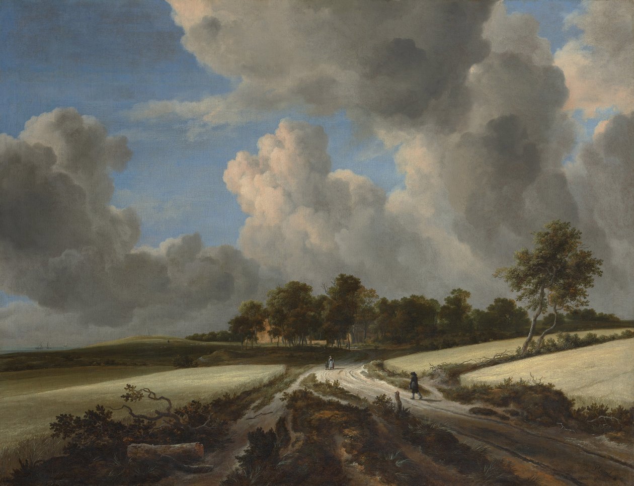Wheat Fields, cca 1670 (olej na plátně) od Jacob van Ruisdael
