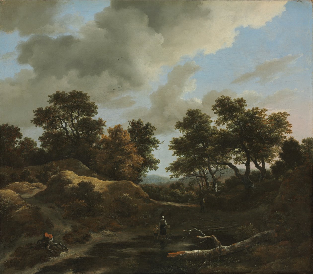 Zalesněná a kopcovitá krajina, 60. léta 17. století od Jacob van Ruisdael