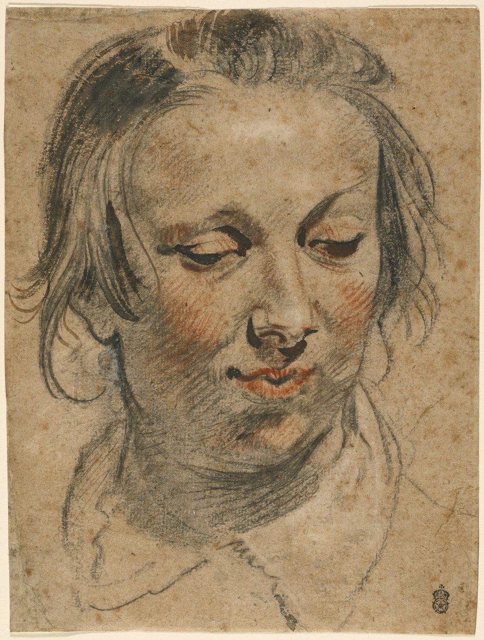 Hlava ženy od Jacob Jordaens