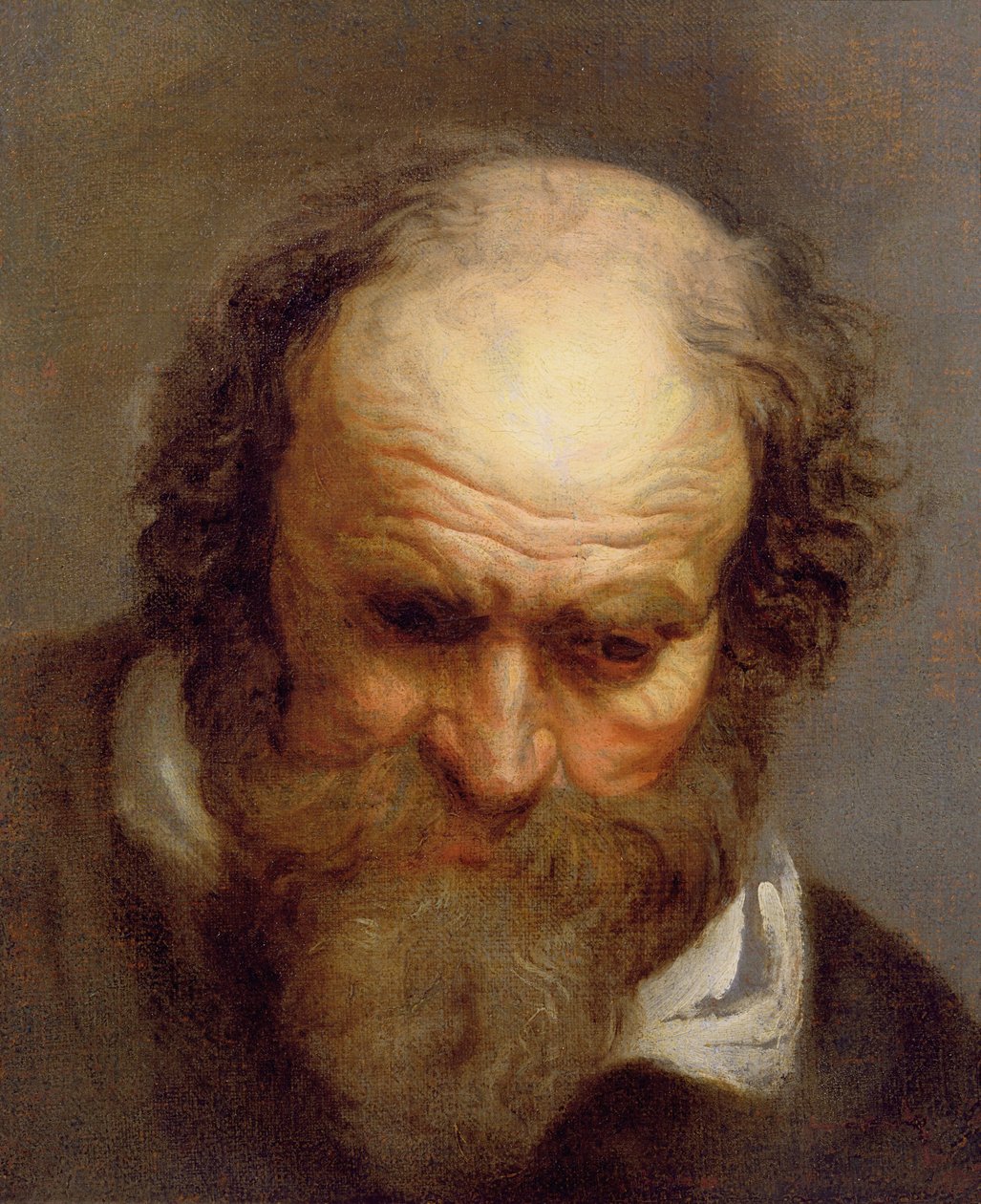 Hlava starého muže od Jacob Jordaens