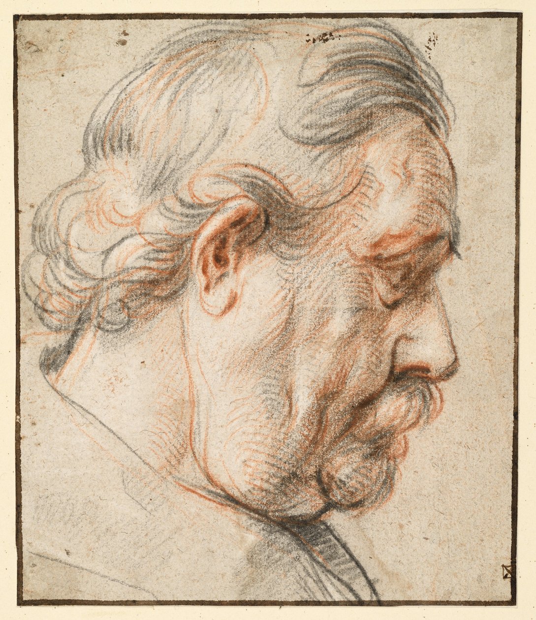 Hlava muže z profilu doprava od Jacob Jordaens