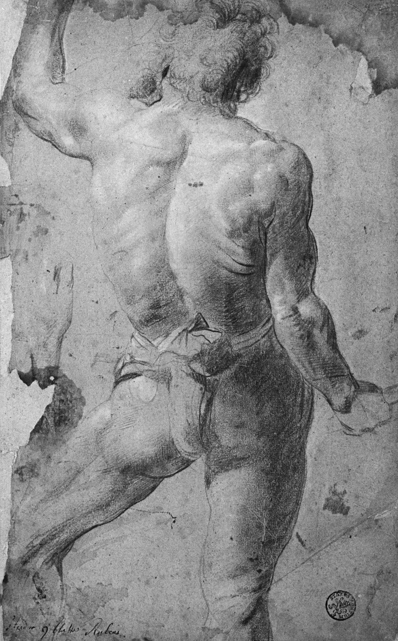 Stojící mužský akt (černá křída a sangvinik na papíře) od Jacob Jordaens