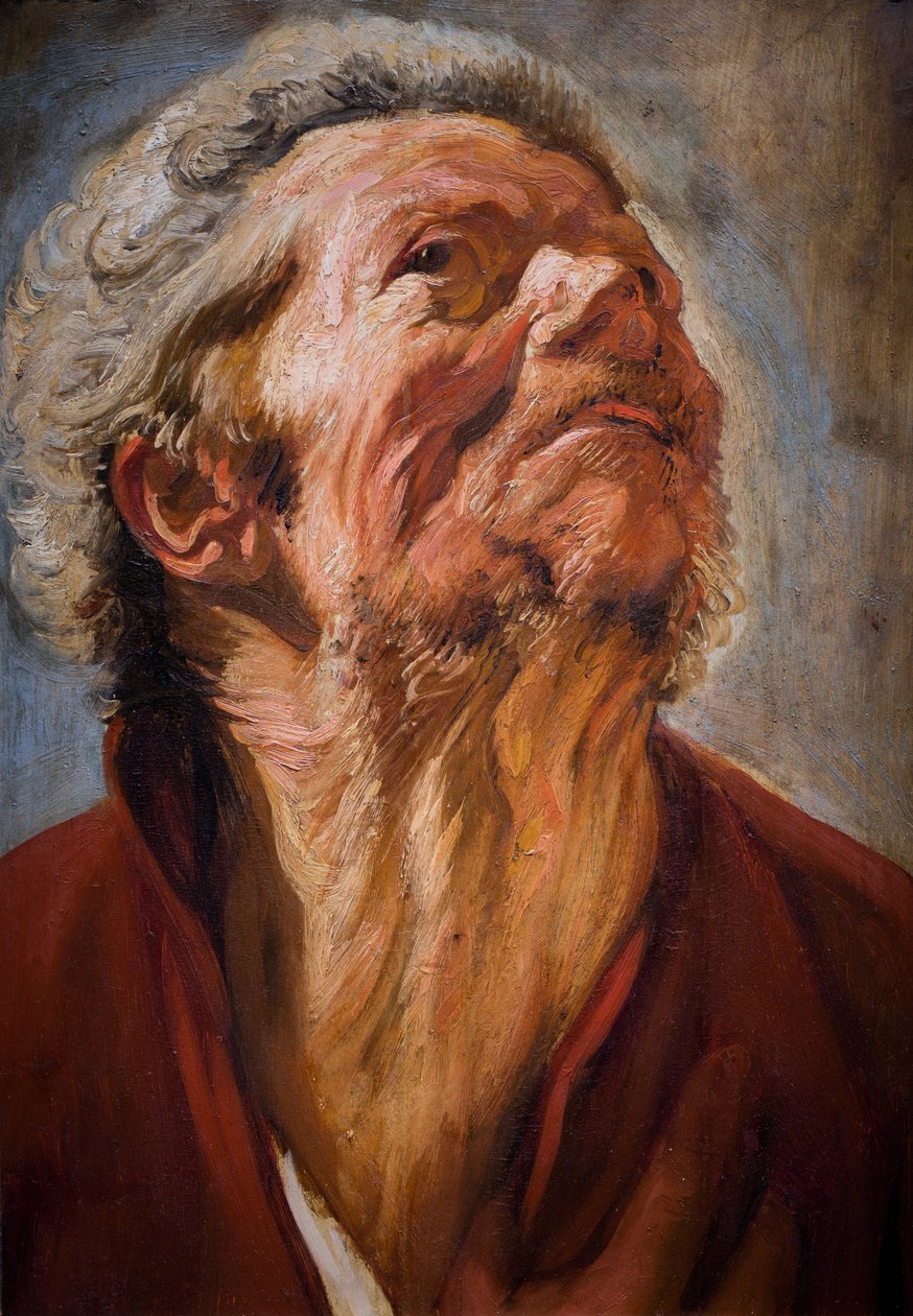 Vedoucí studie od Jacob Jordaens