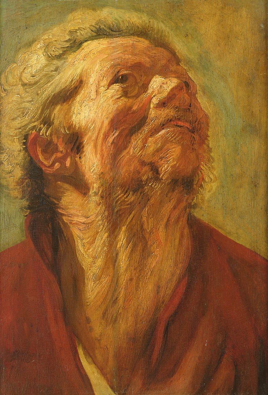 Studie hlavy nebo hlavy apoštola, c.1620 od Jacob Jordaens