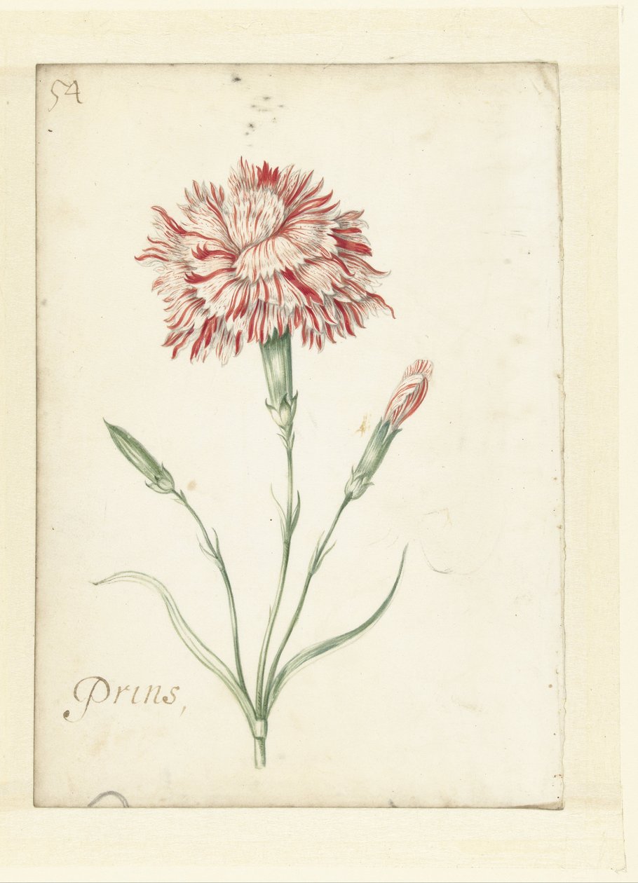 Karafiát od Jacob Marrel (possibly)