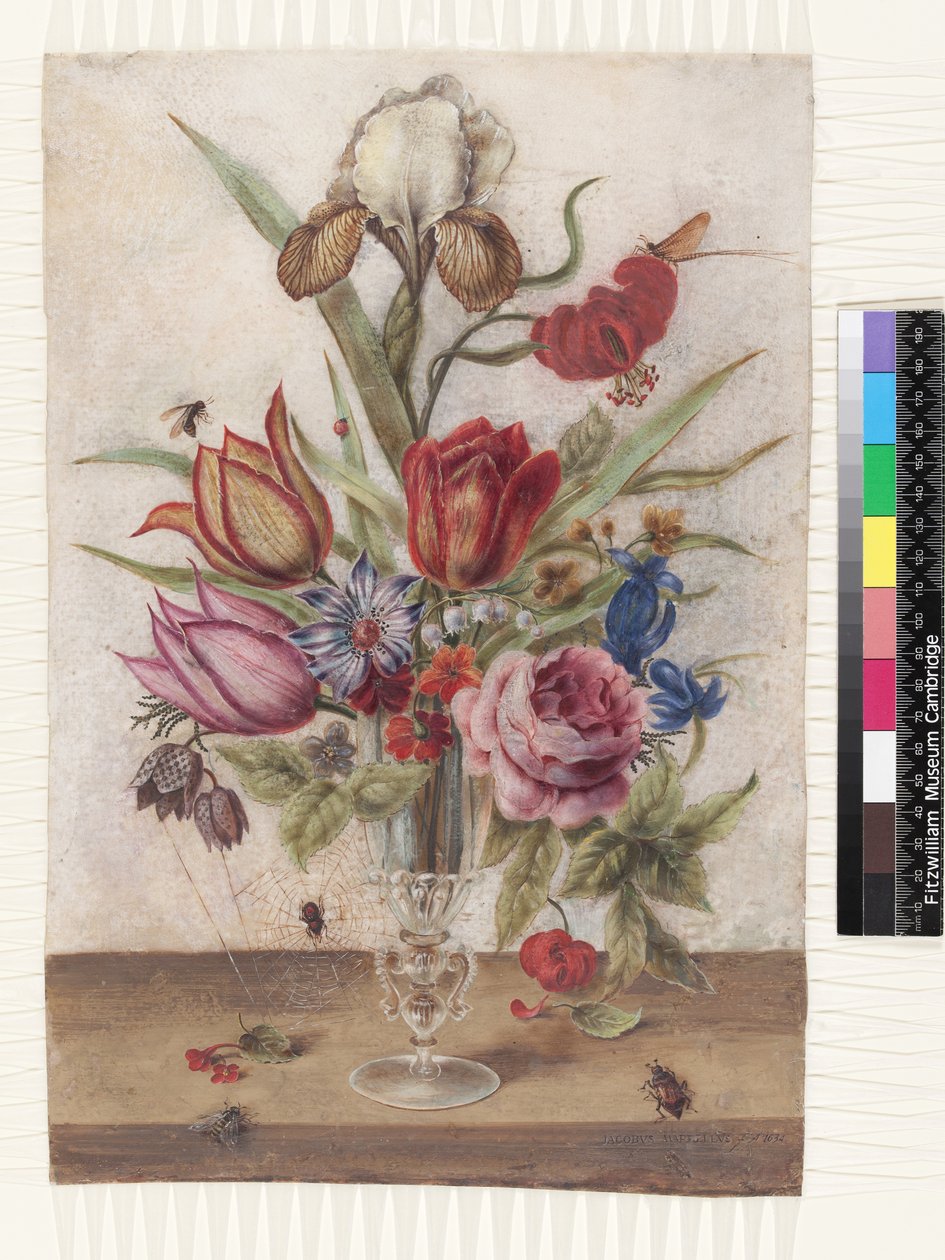 Pohár z benátského skla obsahující tulipány, růže, sasanky, hořec, fritillary, kosatec varigat, lilium chalcedonicum jepice, májka, konvalinka a prvosenka od Jacob Marrel