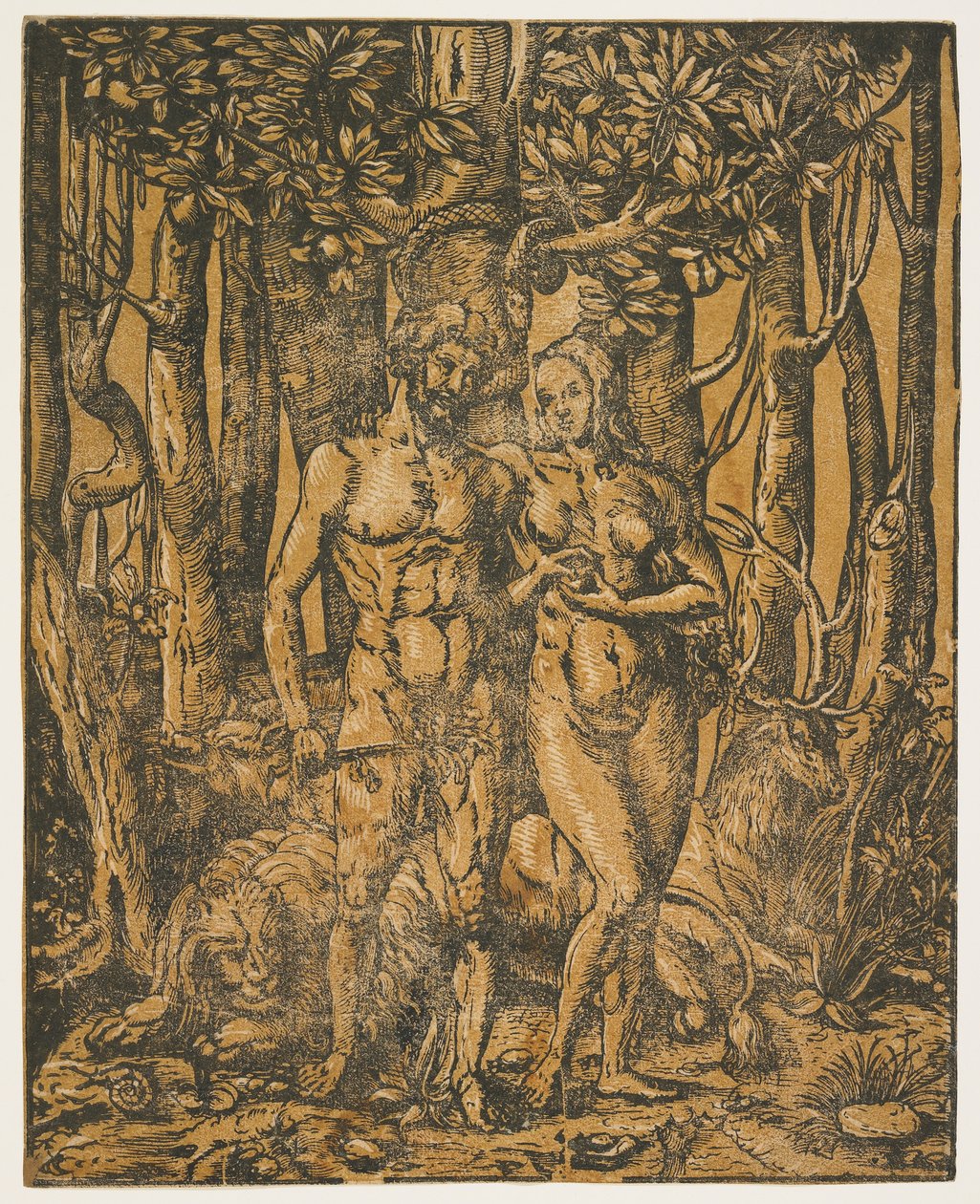 Adam a Eva, 16. století od Jacob the Elder attr. to Lucius