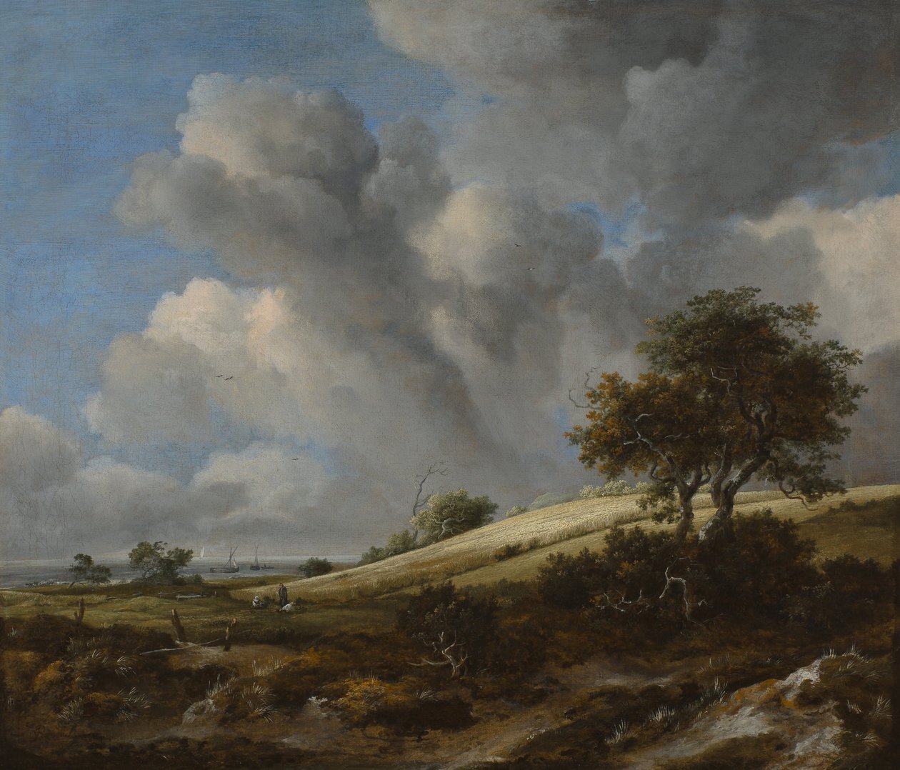 Kukuřičné pole se Zuiderzee v pozadí, c. 1660 od Jacob van Ruisdael