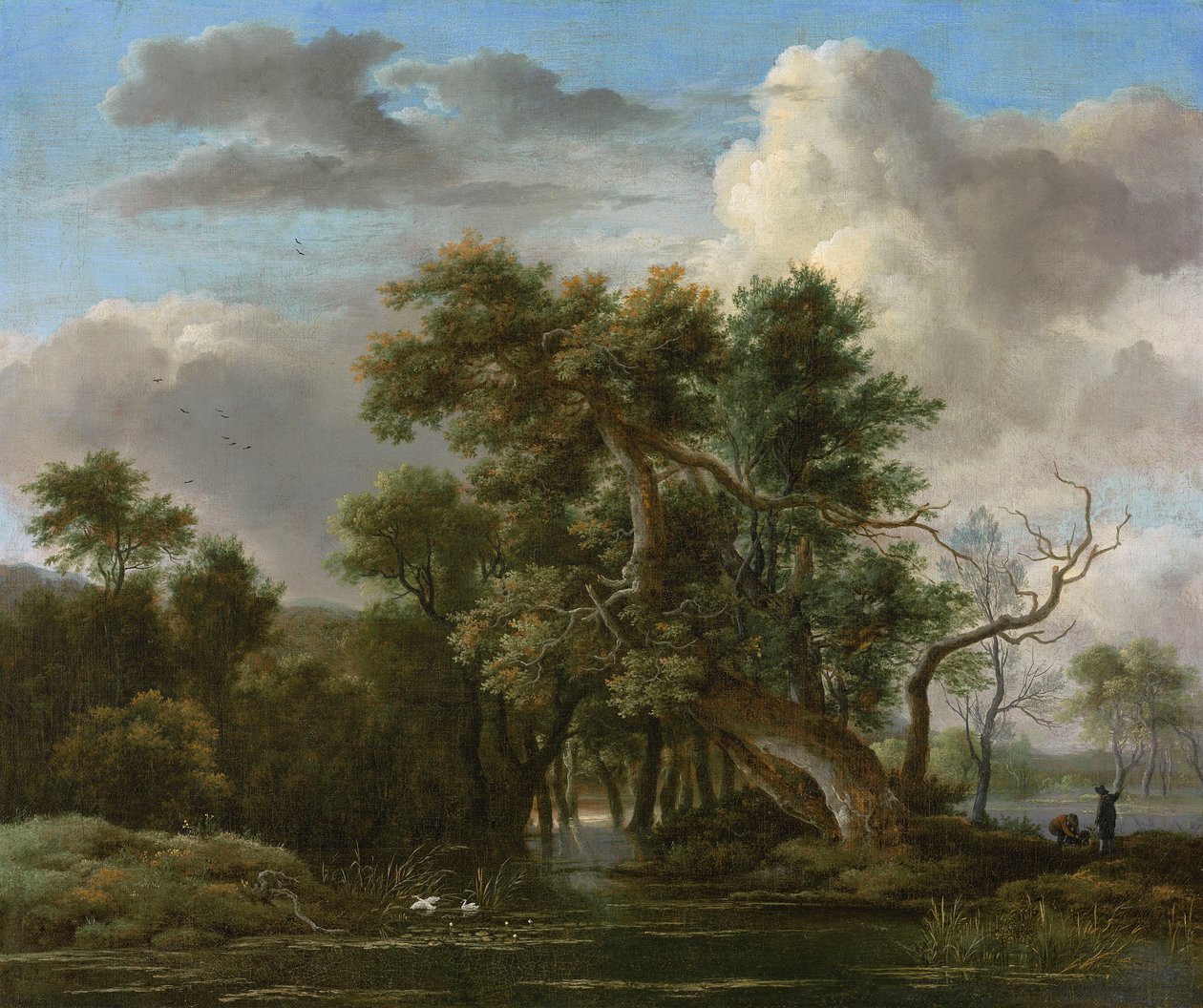 Lesní bazén od Jacob van Ruisdael