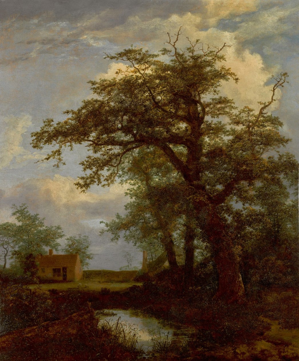 Zalesněná krajina s dubem, rybníkem a domy za ním od Jacob van Ruisdael