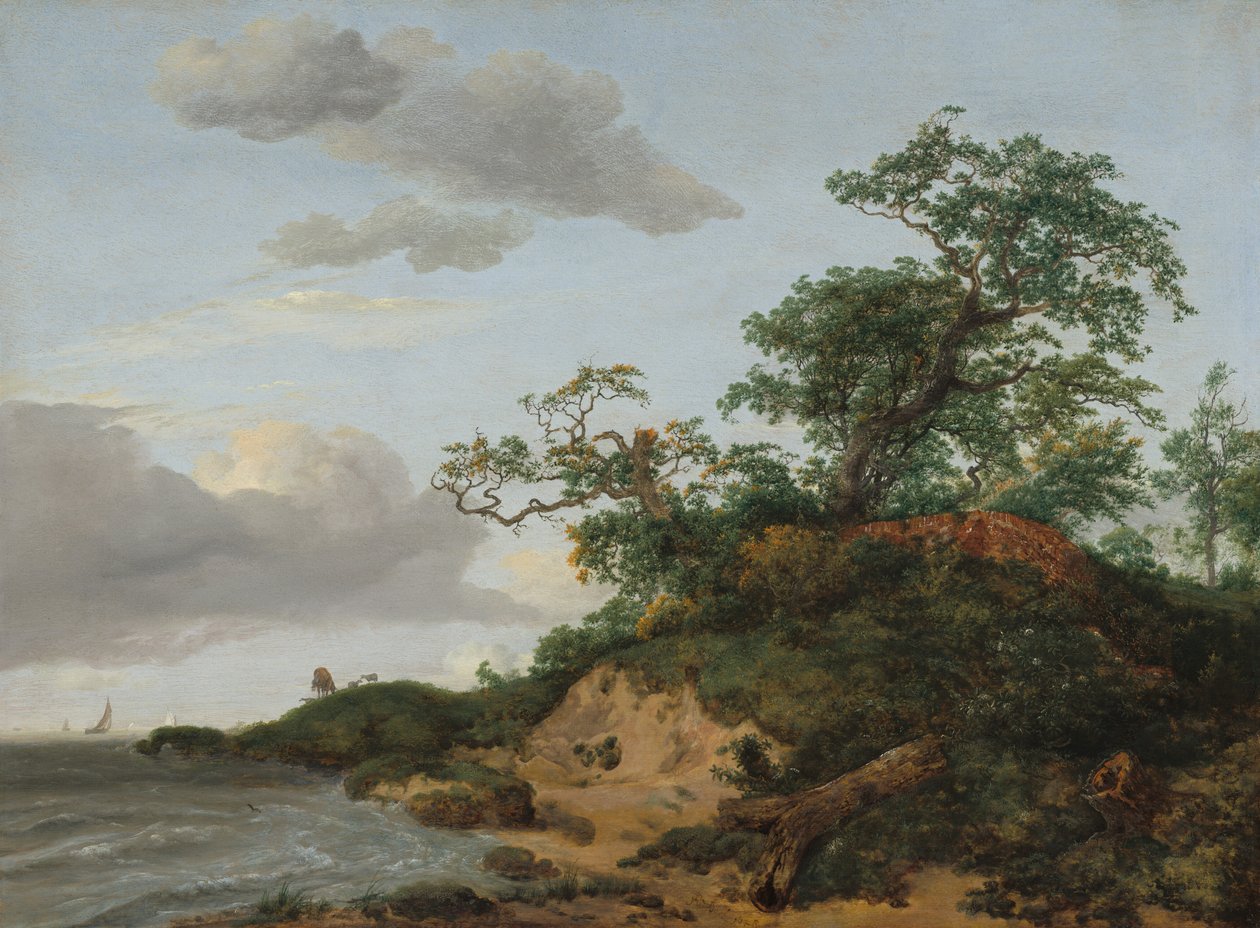 Duny u moře, 1648. od Jacob van Ruisdael