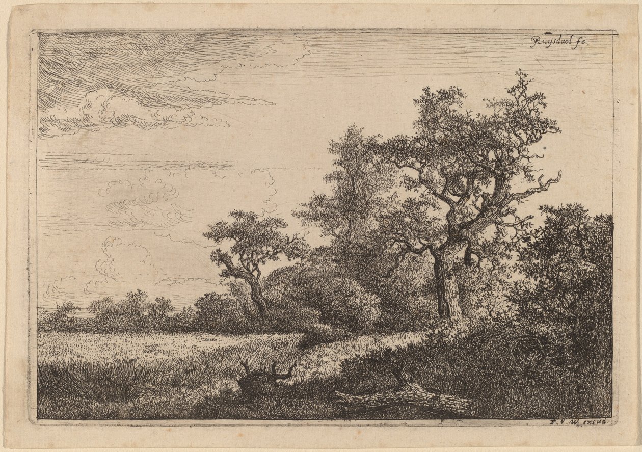 Obilné pole na okraji lesa (kukuřičné pole) od Jacob van Ruisdael