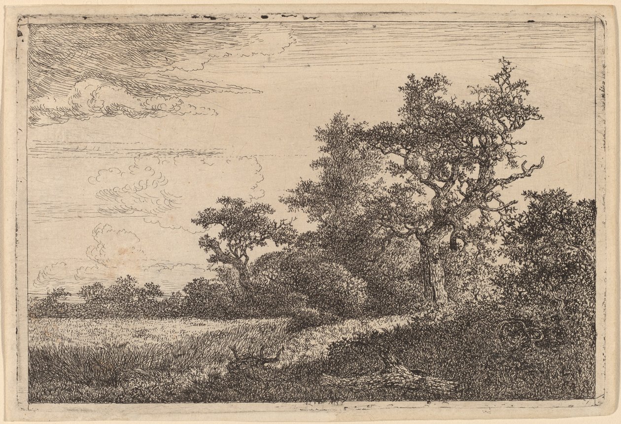 Obilné pole na okraji lesa (kukuřičné pole) od Jacob van Ruisdael