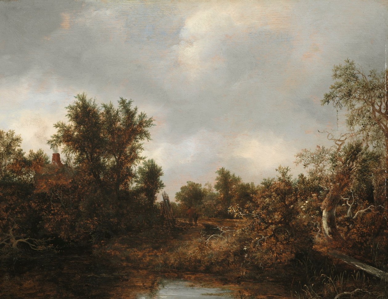 Krajina od Jacob van Ruisdael