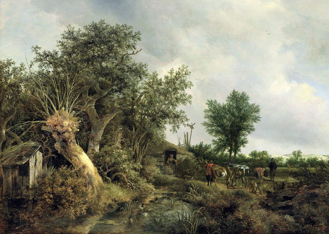 Krajina s chatou, 1646 od Jacob van Ruisdael