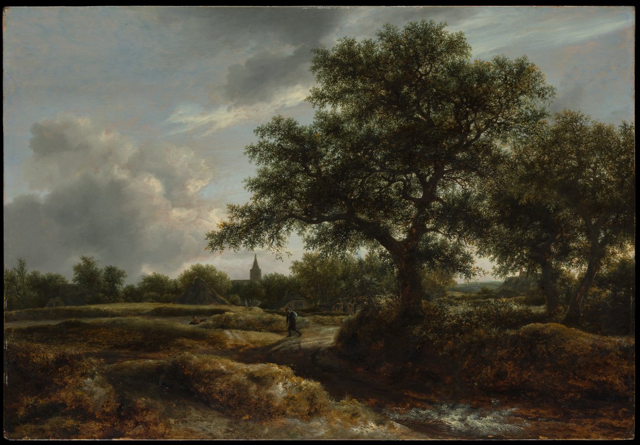 Krajina s vesnicí v dálce od Jacob van Ruisdael