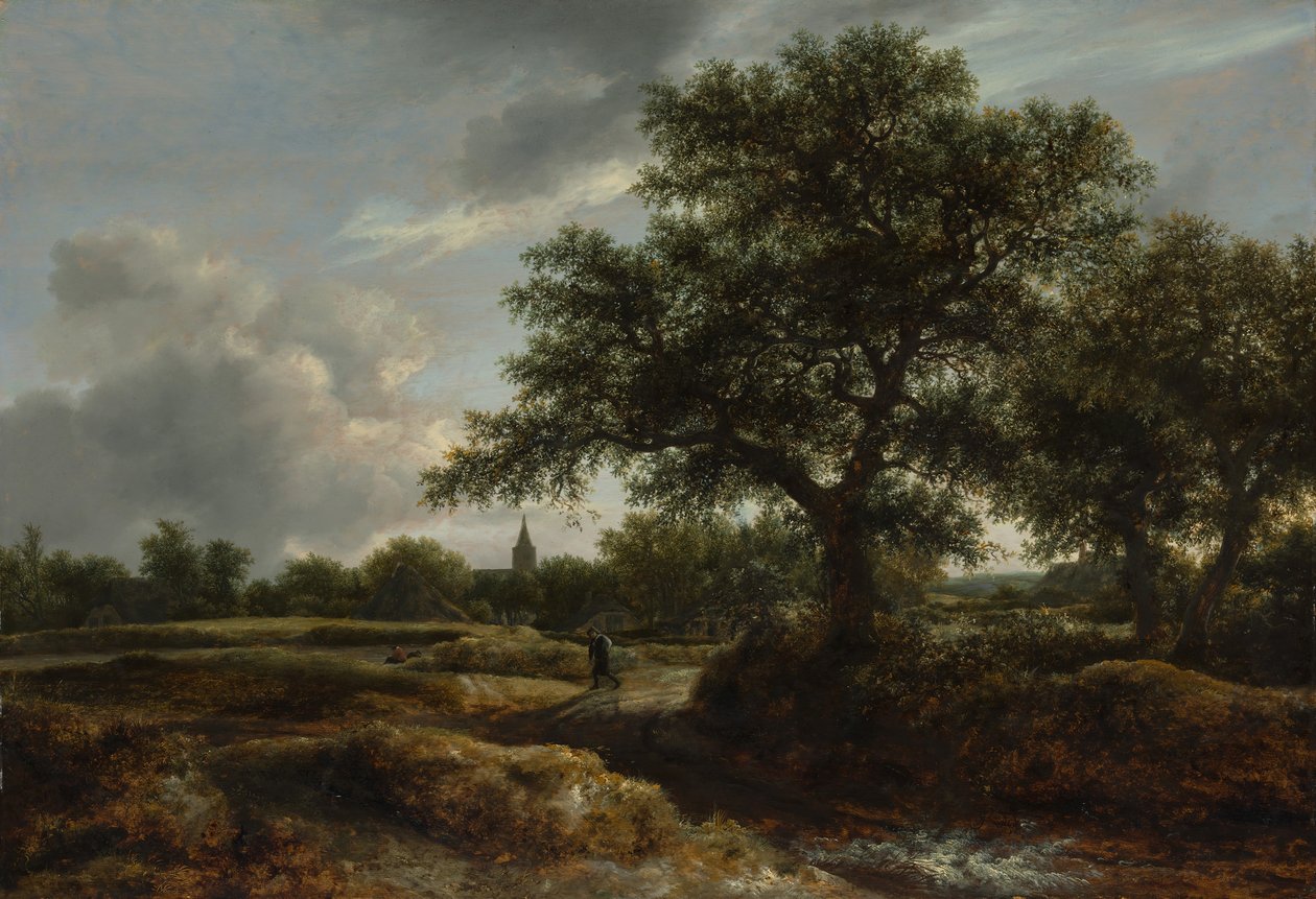 Krajina s vesnicí v dálce, 1646. od Jacob van Ruisdael