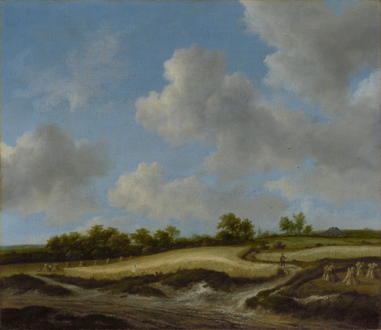 Krajina s pšeničným polem od Jacob van Ruisdael