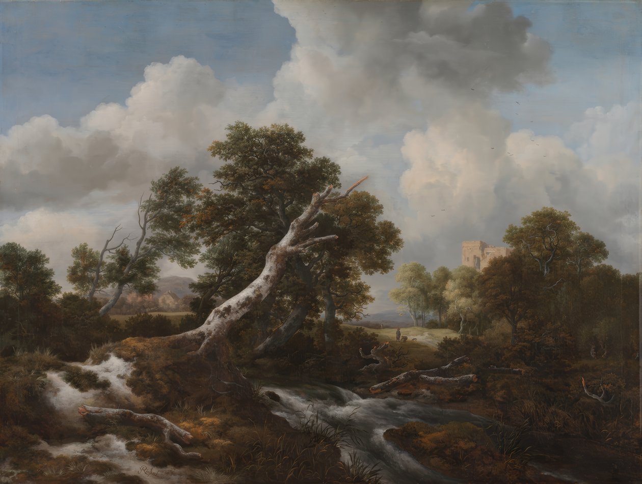 Nízký vodopád v zalesněné krajině s mrtvým bukem od Jacob van Ruisdael