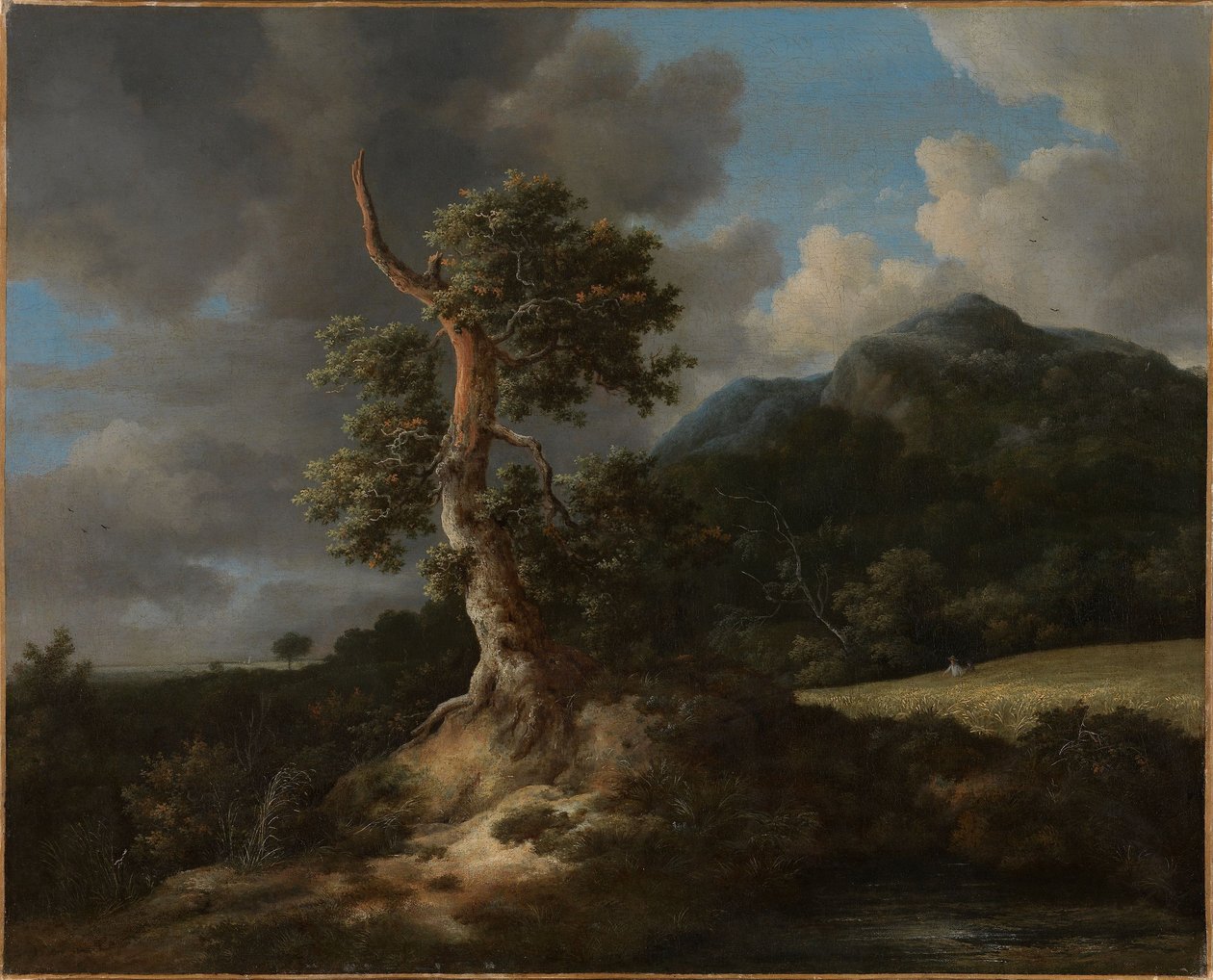 Horská krajina s vyvráceným dubem od Jacob van Ruisdael