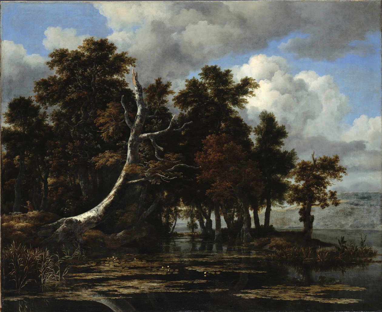 Duby u jezera s lekníny od Jacob van Ruisdael