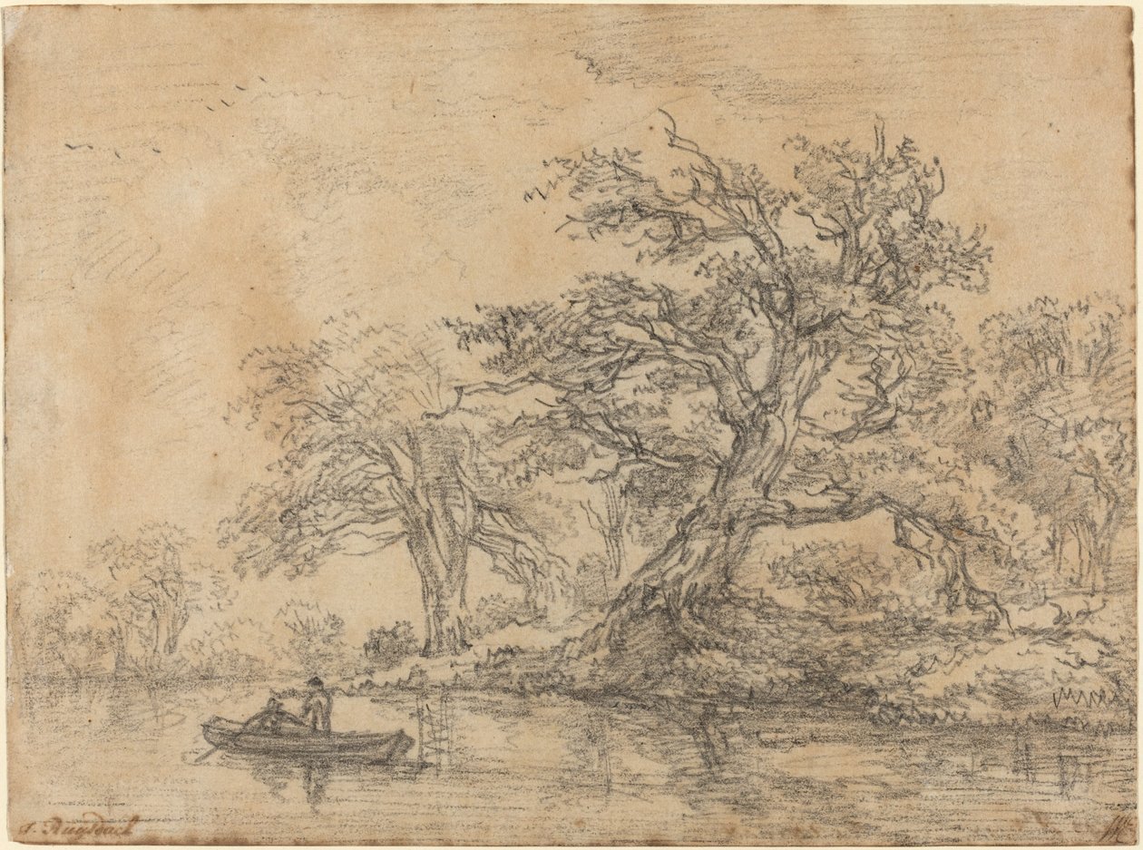 Staré stromy podél banky od Jacob van Ruisdael